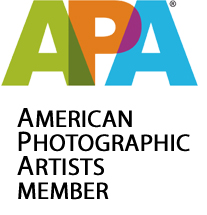 American Photographic Artists (APA) Member Logo
